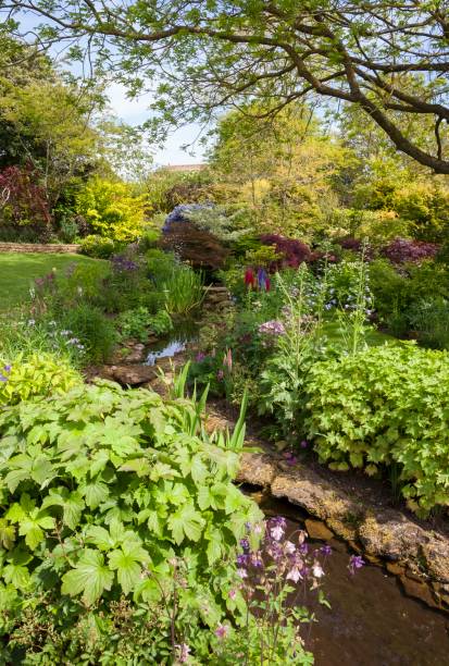 istock Cotswold cottage garden with stream, England 804387392