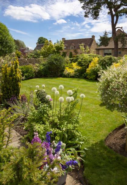 istock Cotswold cottage garden, England 804401552