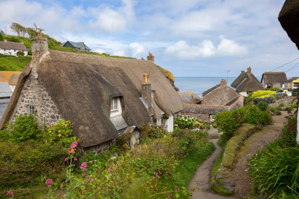 thatched cottages at cadgwith cove, cornwall, england - cornualha inglaterra imagens e fotografias de stock