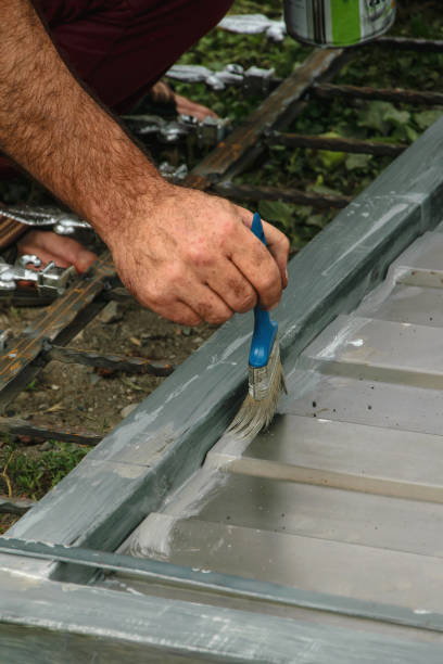 istock Painting the door 804405254