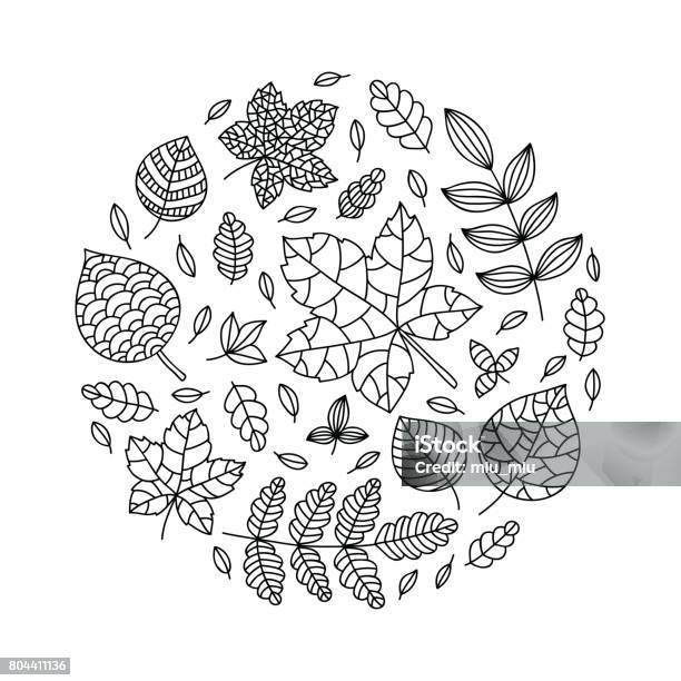 Coloring Page With Contour Drawing Leaves Stock Illustration - Download Image Now - Art, Autumn, Backgrounds