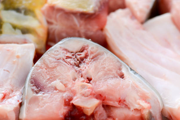 istock Fish stakes on plate ready to be covered in bread crumbs and baked 804422456