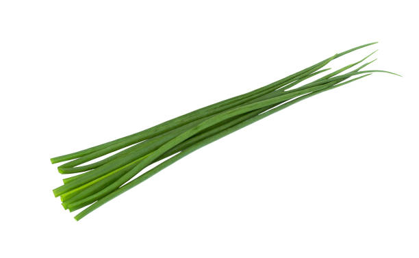 istock Green onion herb isolated. Fresh onion. Chives bunch. 804427190