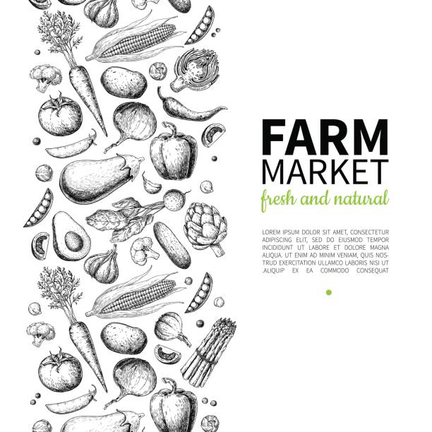sebze elle çizilmiş vintage vektör çerçeve çizim. çiftlik pazar poster. vejetaryen organik ürünler ve ayarlayın. - yiyecekler illüstrasyonlar stock illustrations