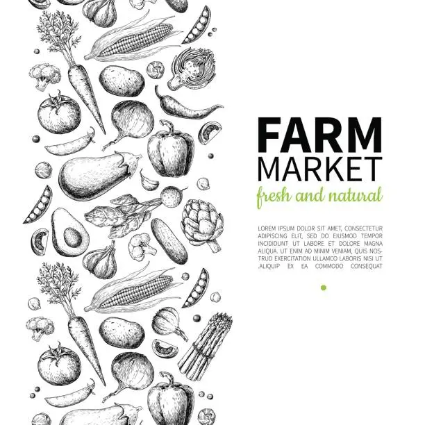 Vector illustration of Vegetable hand drawn vintage vector frame illustration. Farm Market poster. Vegetarian set of organic products.