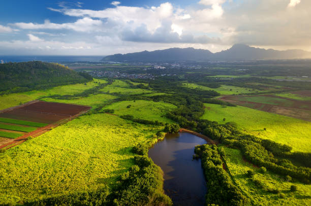 beautiful view of spectacular jungles, field and meadows of kauai island near lihue town - sky sea town looking at view imagens e fotografias de stock