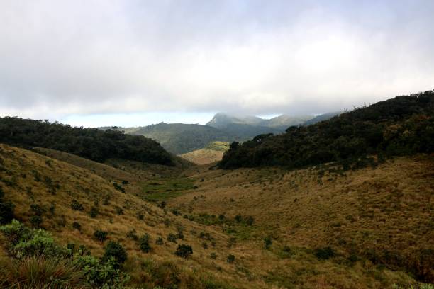 istock Horton Plains National Park in the morning 804496466