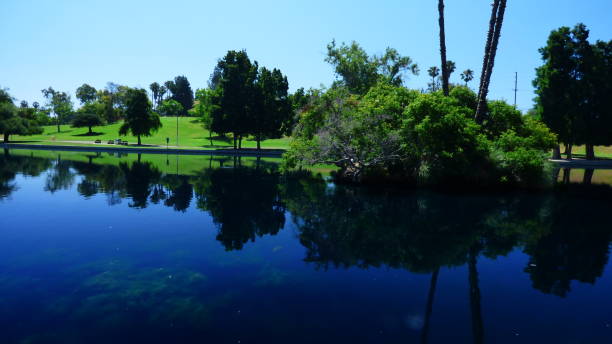 istock Hot day in the park. 804503600