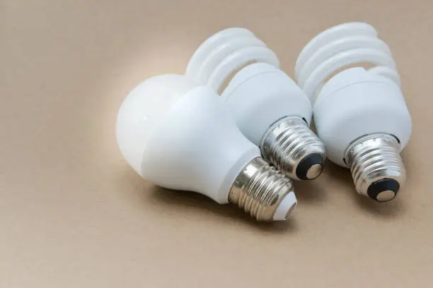 Photo of LED bulb and Compact Fluorescent bulb - The  alternative technology