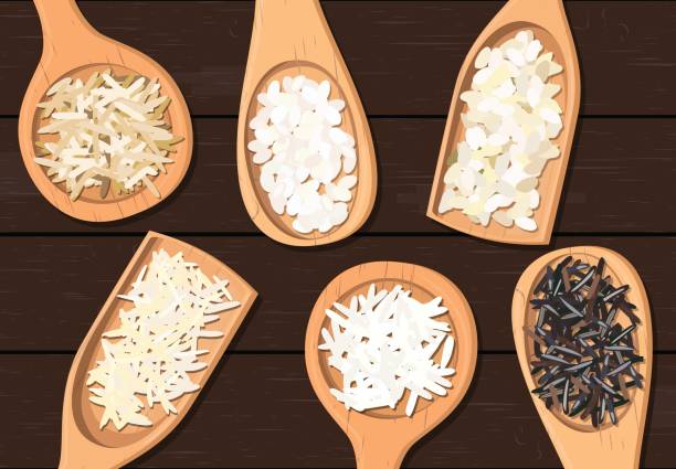 verschiedene arten von reis in holzlöffel. basmati, wild, jasmin, lange braune, arborio, sushi, dunklem holz - rice paddy rice food short grain rice stock-grafiken, -clipart, -cartoons und -symbole