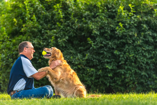 istock Man petting his dog at sunset 804550710