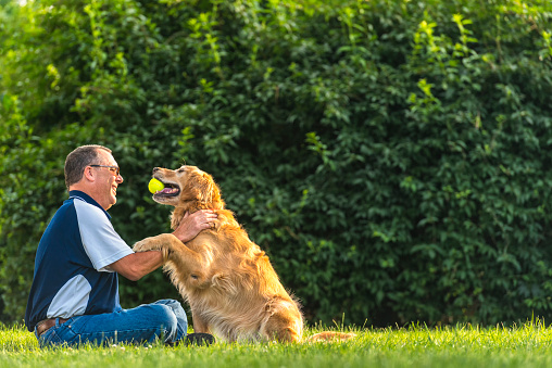 A middle aged Caucasian man sitting in the grass petting with his Golden Retriever as the dog give him a paw at sunset. This setting could be his back yard or at a public park.