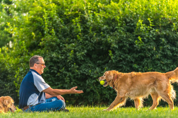 istock Man playing fetch with his dog at sunset 804550946