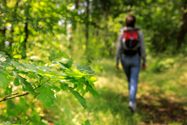 Woman with backpack hiking in forest