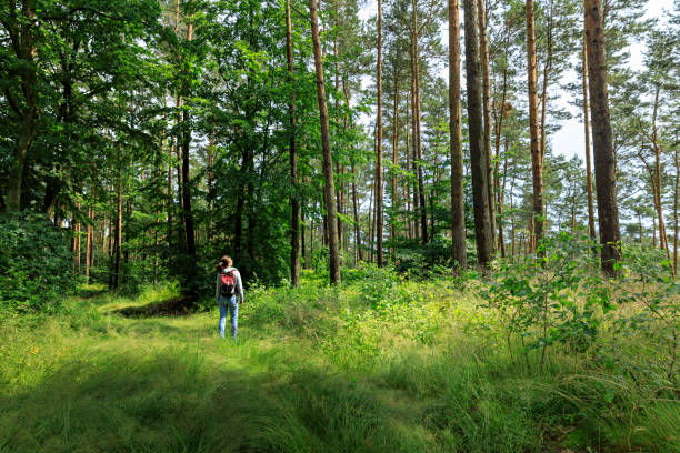istock Woman with backpack hiking in forest 804574880