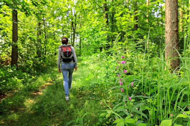 Woman with backpack hiking in forest