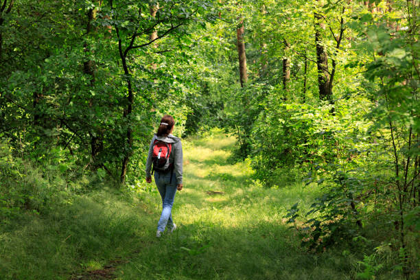 istock Woman with backpack hiking in forest 804575540