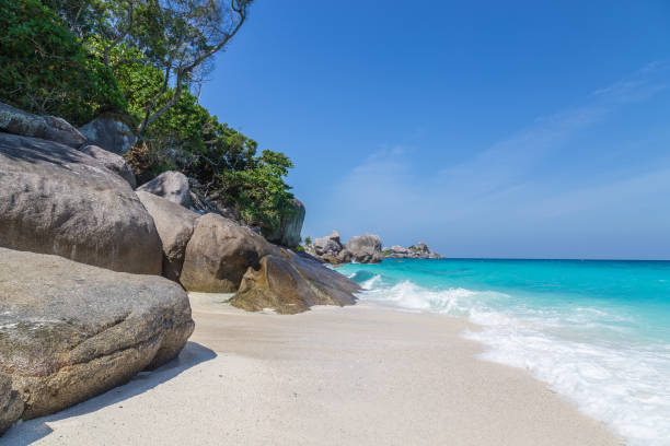 istock Similan Islands white sand beach and turquoise blue sea Thailand 804584518