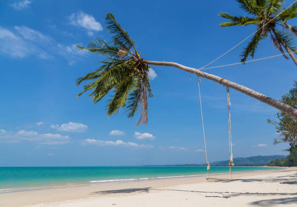 istock Khao Lak sand beach Thailand Panorama 804585056