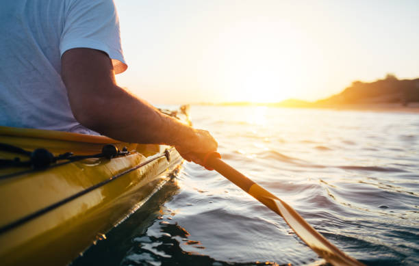istock Paddling the kayak 804592750