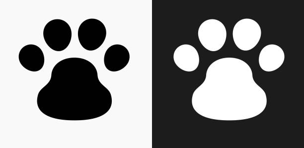 296 Dog Black Background Illustrations & Clip Art - iStock | Cat and dog  black background, Wolf dog black background, Hot dog black background