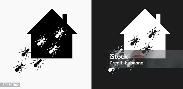 istock Ants at Home Icon on Black and White Vector Backgrounds 804601162