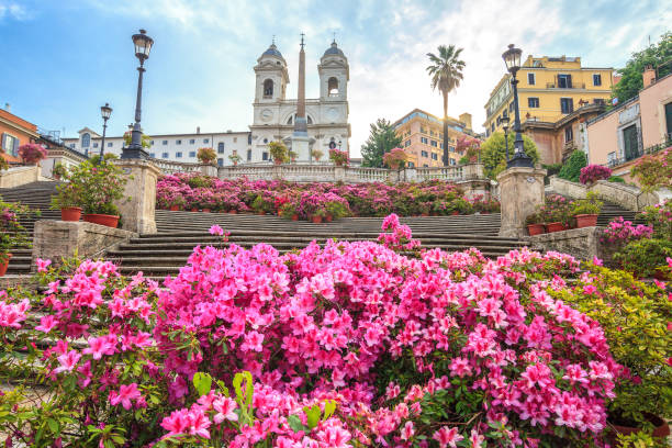 degraus espanhóis com azáleas ao nascer do sol, roma - piazza di spagna - fotografias e filmes do acervo