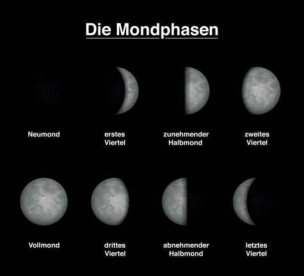 istock Lunar phases of the moon - GERMAN LABELING - different shapes of illuminated portions. Vector illustration on black background. 804613202