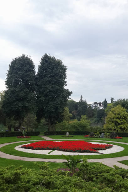 istock Maple leaf, flower beds in High Park, Toronto, Canada 804625524