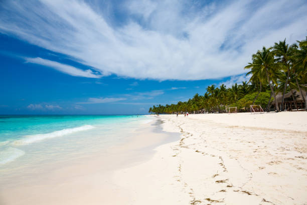 istock beach at Saona island, Dominican Republic 804625980