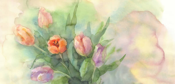 istock color tulips in vase watercolor 804630334