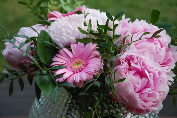 istock Pink beautiful summer flowers 804631258