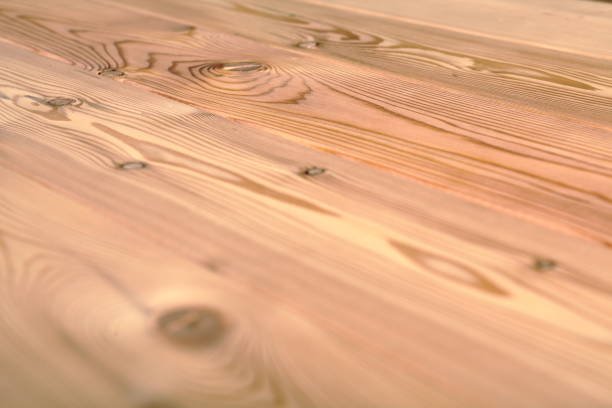 istock texture of wood use as natural background 804635890