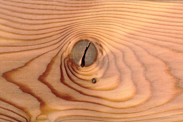 istock texture of wood use as natural background 804635894