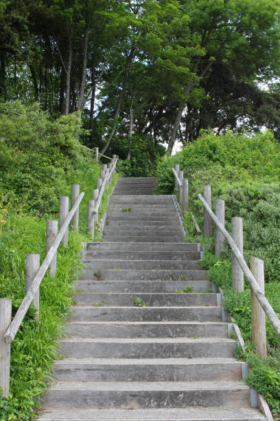 istock Stairs in the park 804644054