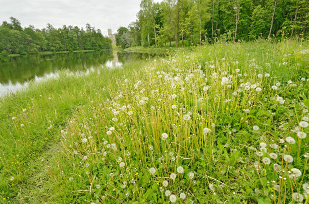istock The natural landscape in the spring. 804644168