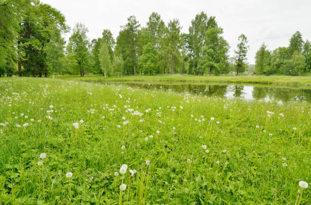 istock The natural landscape in the spring. 804644444