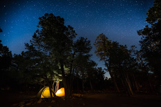 istock Two tents set among the trees 804652230