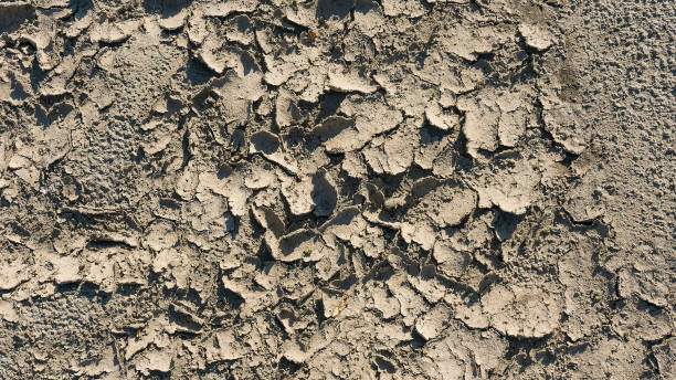istock The dried up cracked earth. 804652432