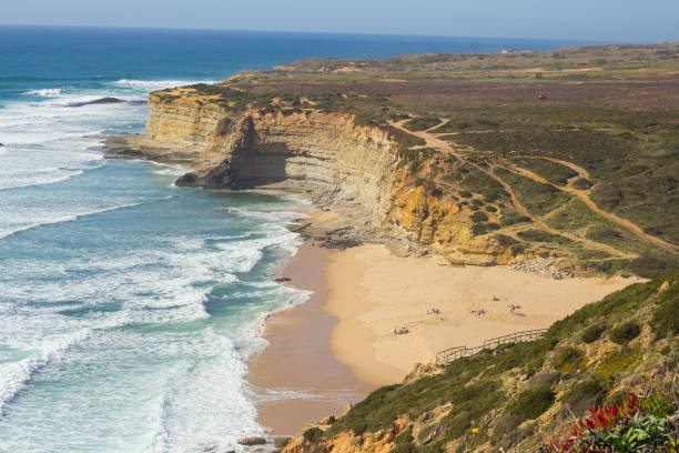 plaża ericeira - ericeira zdjęcia i obrazy z banku zdjęć