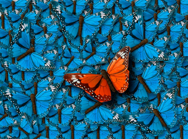 istock Background of Buterflies 804655092