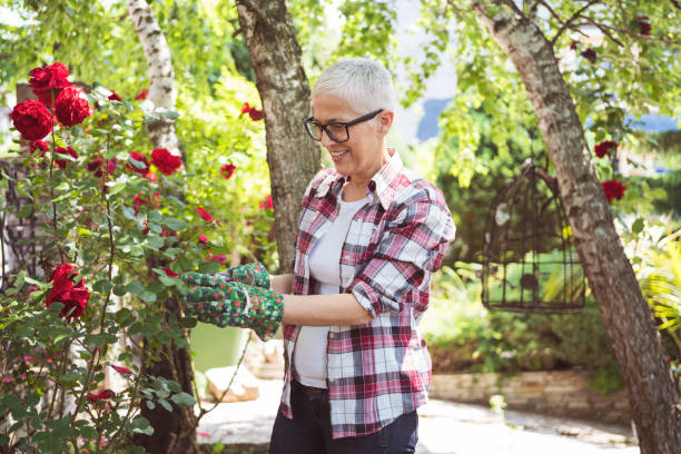 Mature couple enjoy working at their garden