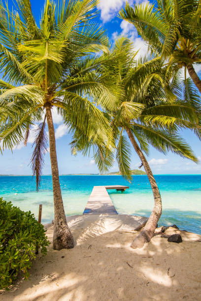 istock Boardwalk on Bora Bora, French Polynesia 804668474