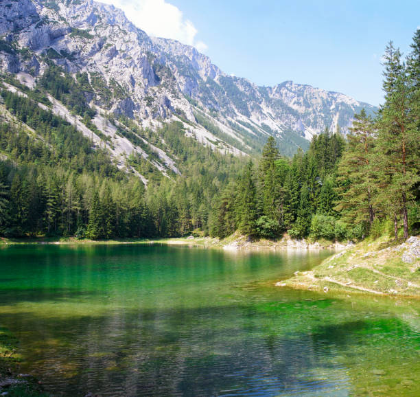 istock Famous green lake in Austria 804669622