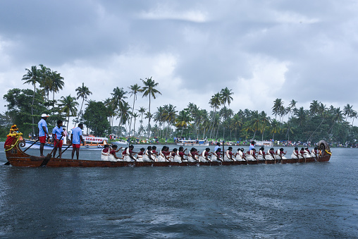 Alleppey, India - August 13, 2016 :Unidentified oarsmen/rowers in uniform participating in the very popular Nehru trophy snake boat race on the backwaters in Alappuzha, Kerala, India women in sports.