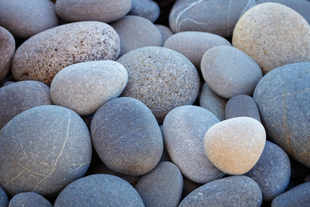 istock Abstract smooth round pebbles sea texture background 804671970