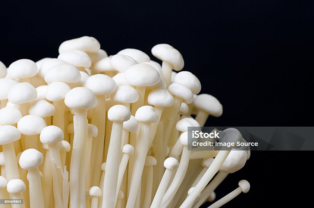 Enokitake mushrooms  Enoki Mushroom Stock Photo