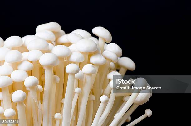 Enokitake Mushrooms Stock Photo - Download Image Now - Enoki Mushroom, Edible Mushroom, Black Background