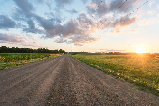 Sunset Rural Road Landscape in golden light - Dawn,  Field, Summer, dirt road