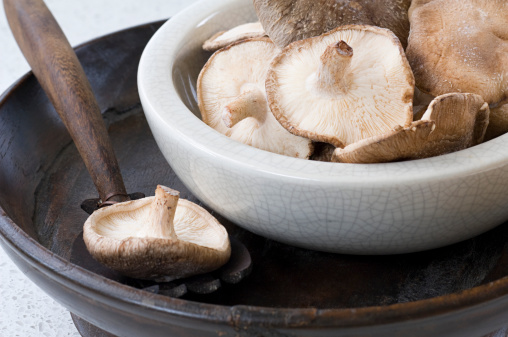 Different fresh wild mushrooms in wicker bowl on gray background. Autumn Cep Mushrooms. Concept organic food mushroom. Close-up